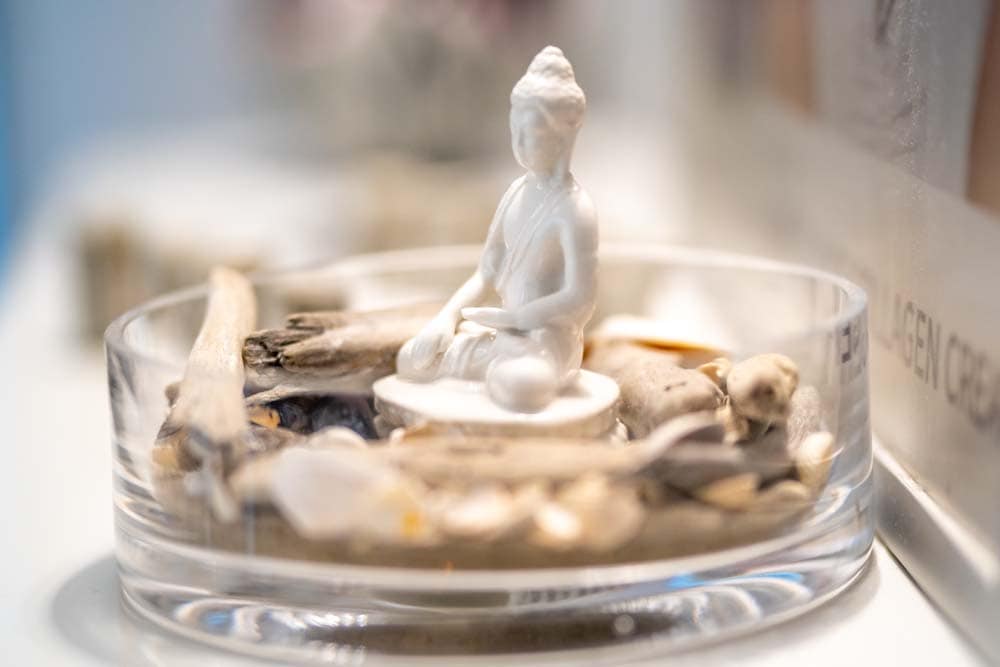 Leistungen Beauty Dream Kosmetikstudio Magdeburg