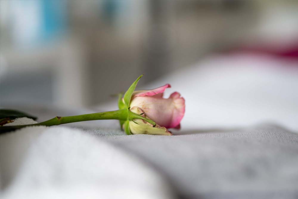 Beauty Dream Kosmetikstudio Magdeburg